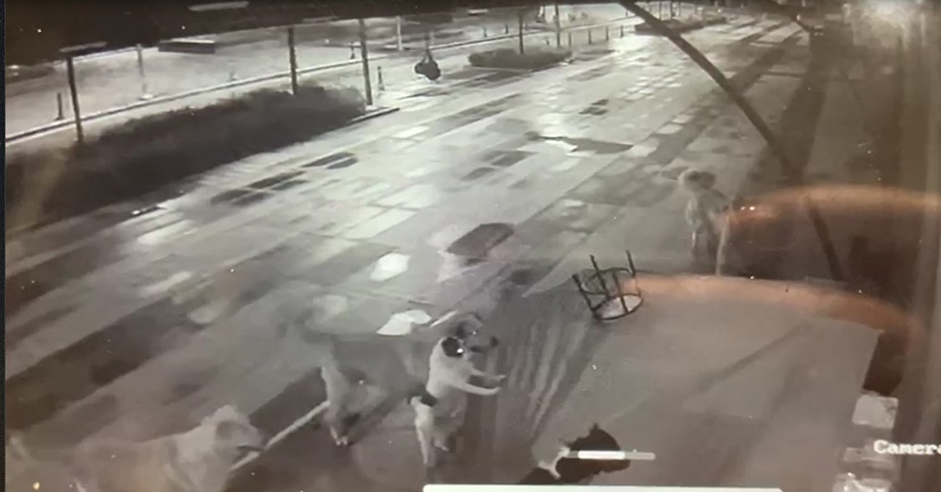 Whatsapp Image 2025 11 16 At 14.26.31