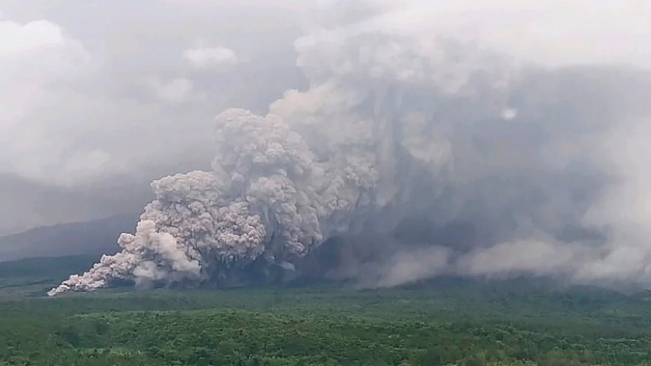 Yeni Proje 3 Jeen Cover