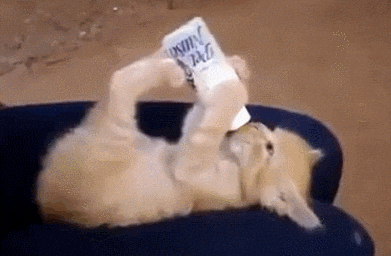 Şap sonrası süt üreticisi alarm veriyor: Fiyat güncellenmezse kapanmalar artacak