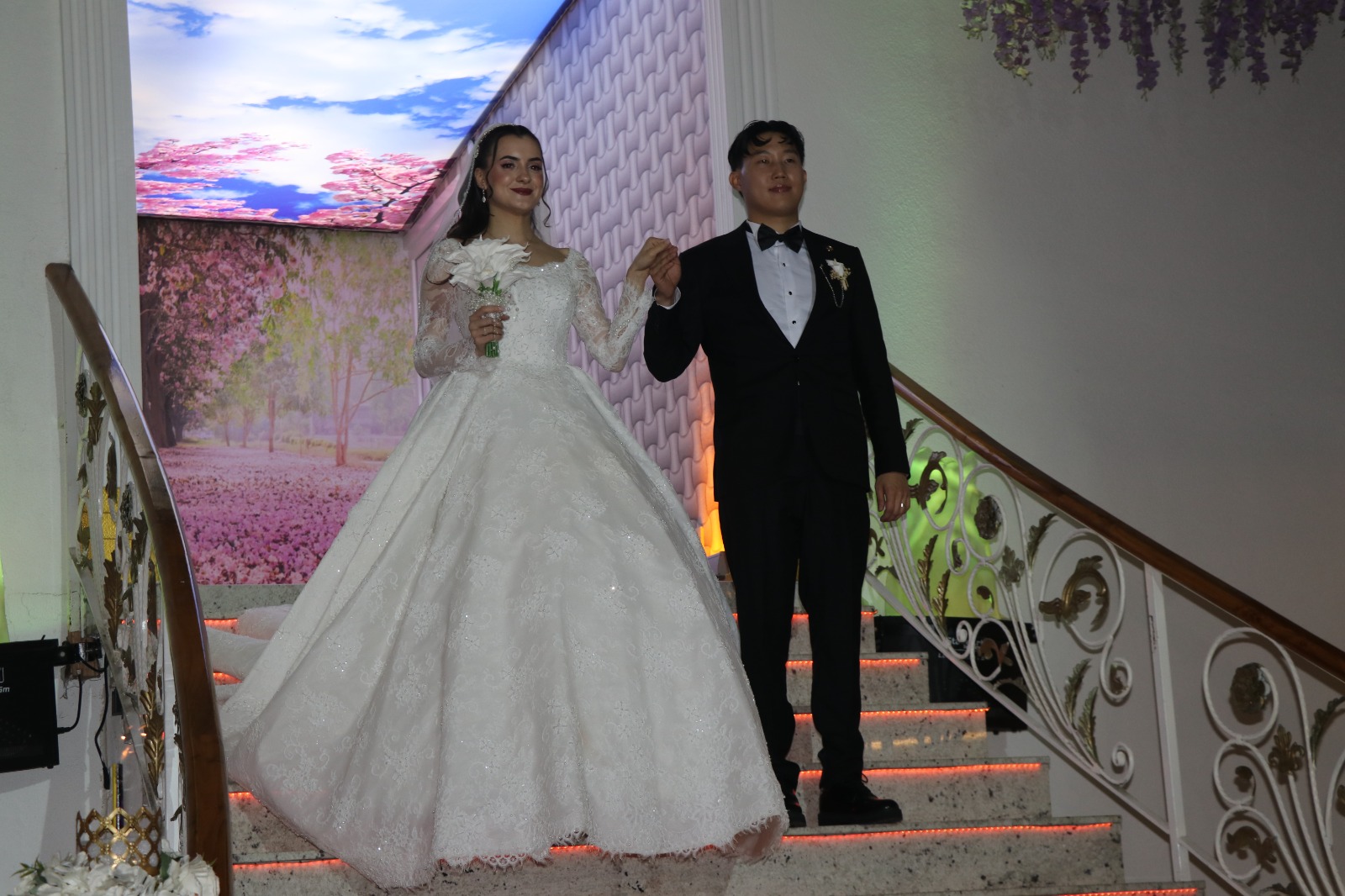 2317Cb75 E5B1 4482 Ac0E 2921D026B727