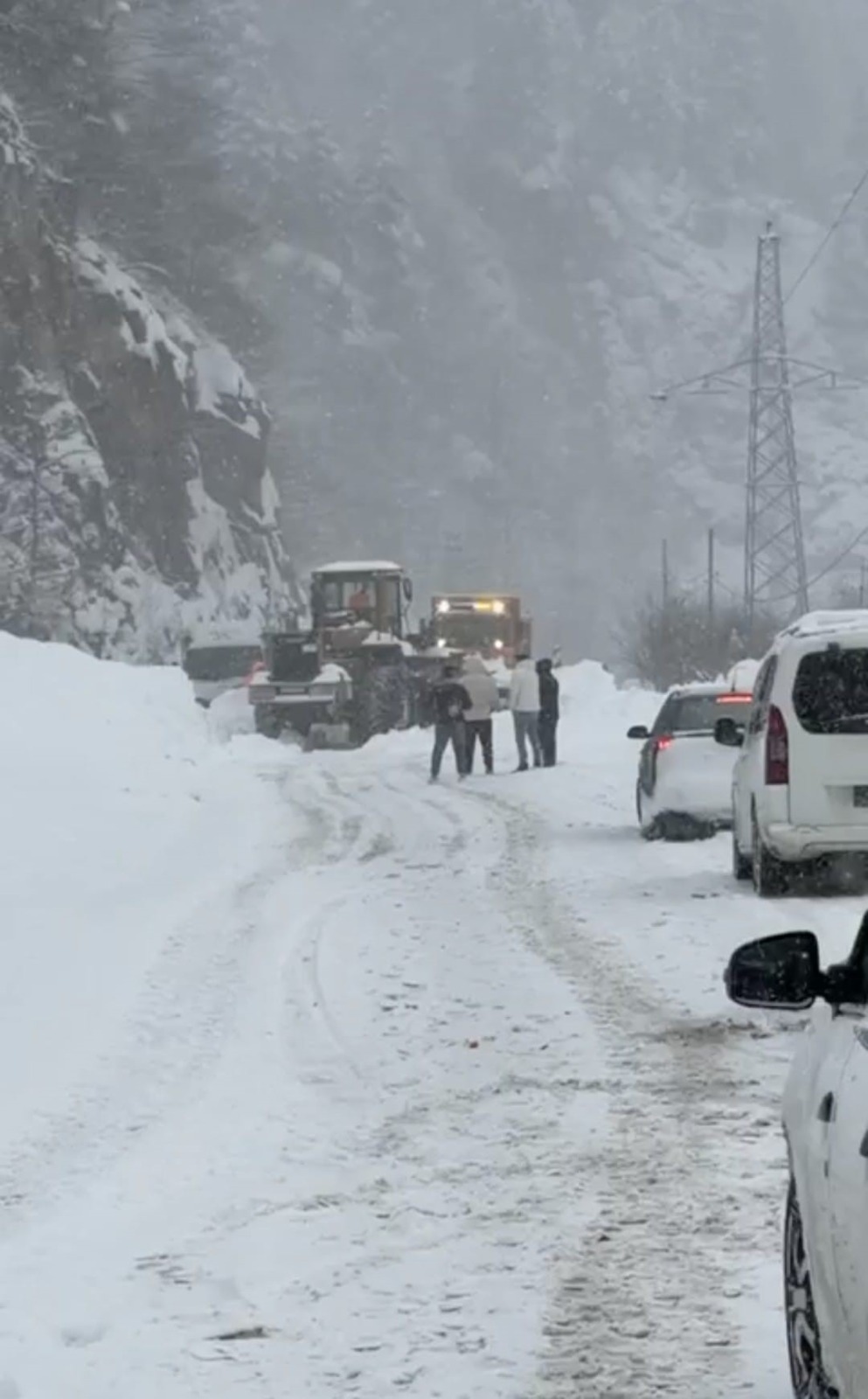 3Bd7D269 1C16 46Ea 97C3 31698C7C51E4