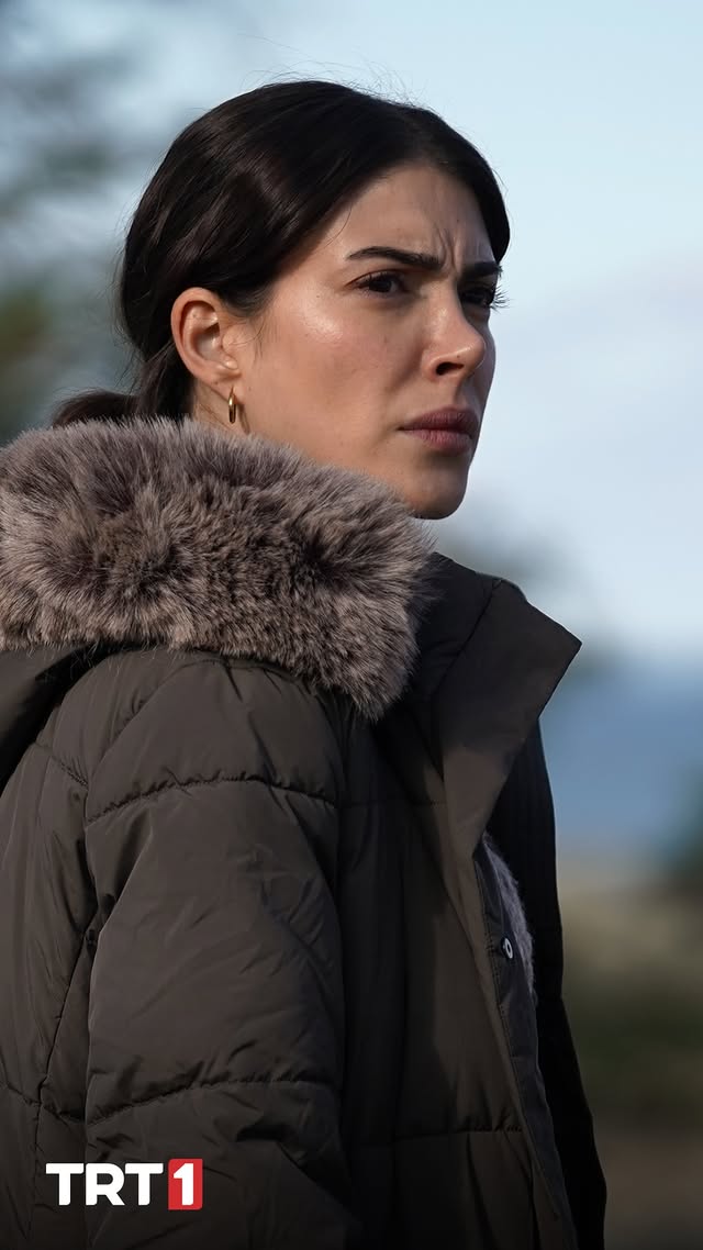 619495033 17866661646554406 4771164711333223914 N (1)