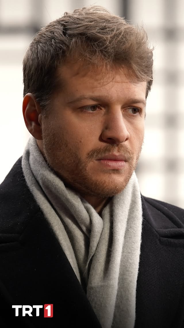 619895565 17866662333554406 2245282043356526500 N (1)