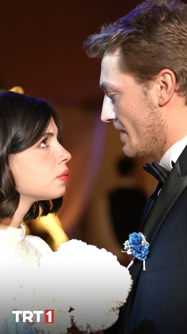 620520379 17866662768554406 6987446037983174255 N