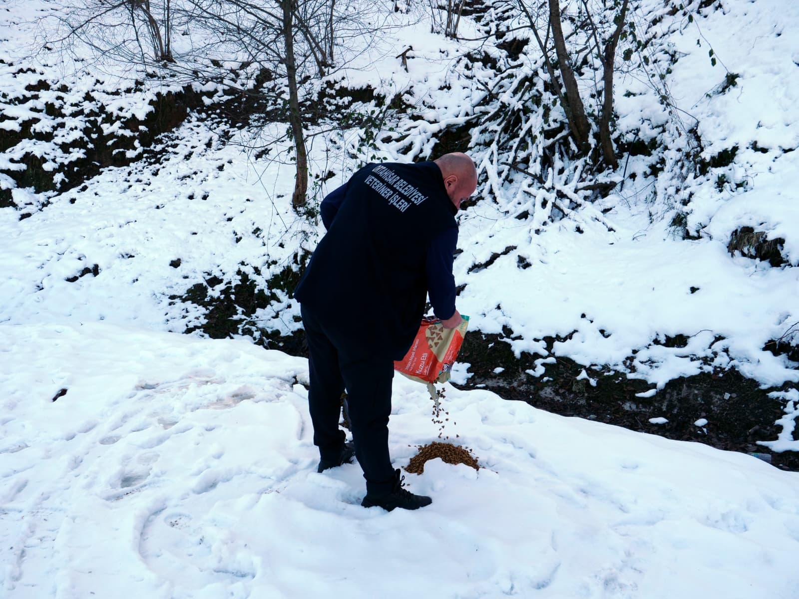 Whatsapp Image 2026 01 24 At 10.47.50 (2)