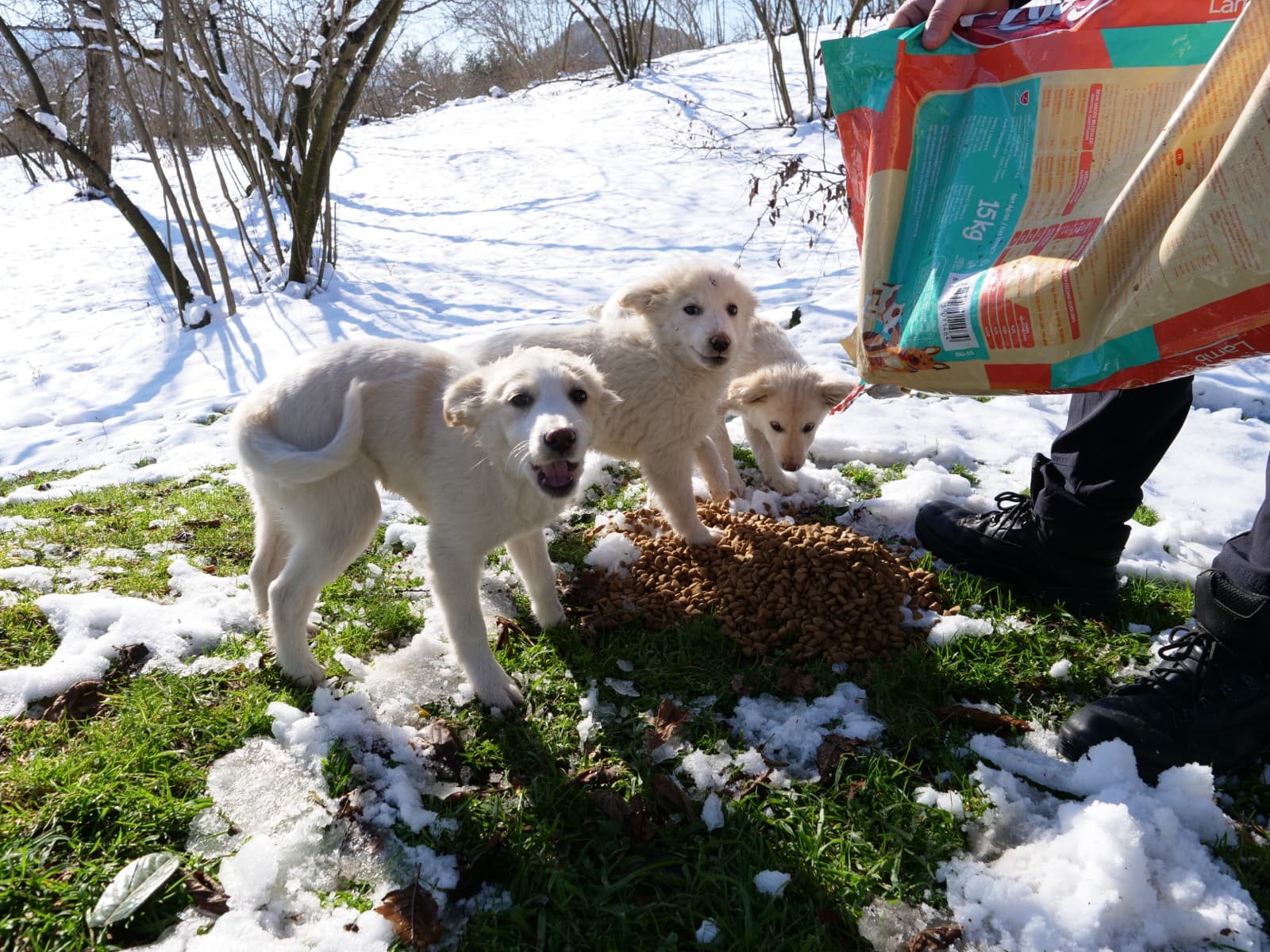 Whatsapp Image 2026 01 24 At 10.47.50