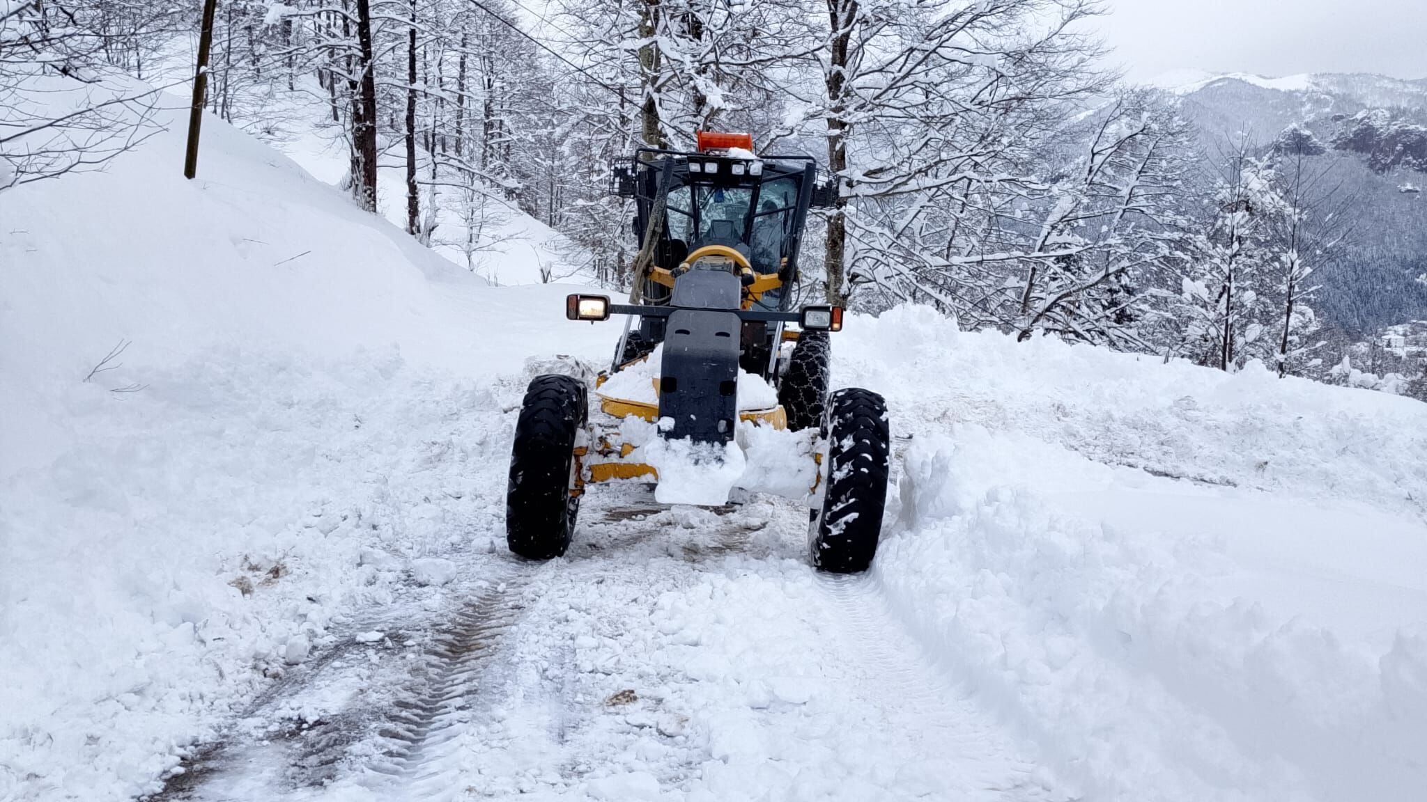 Whatsapp Image 2026 02 28 At 14.28.04 (1)