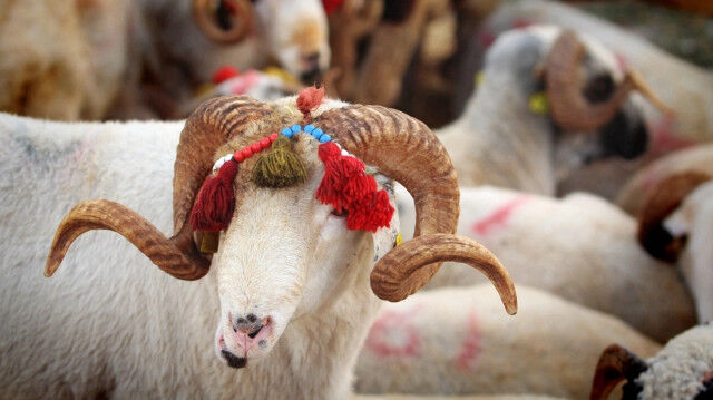 90A21F25 2Pzamdfnj5Kc6Ixkqbvq5