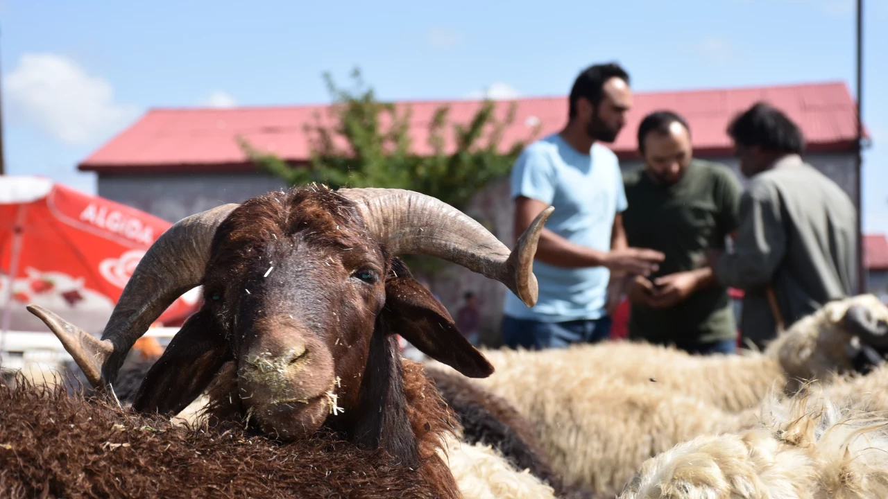 Kurban Bayrami Uuuj Cover
