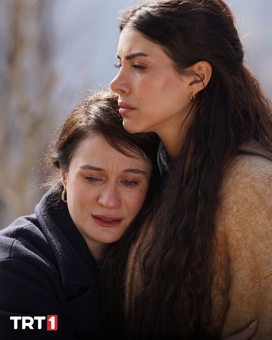 Tasacakbudenizdizi 1773400523 3851885184572468076 76662234405