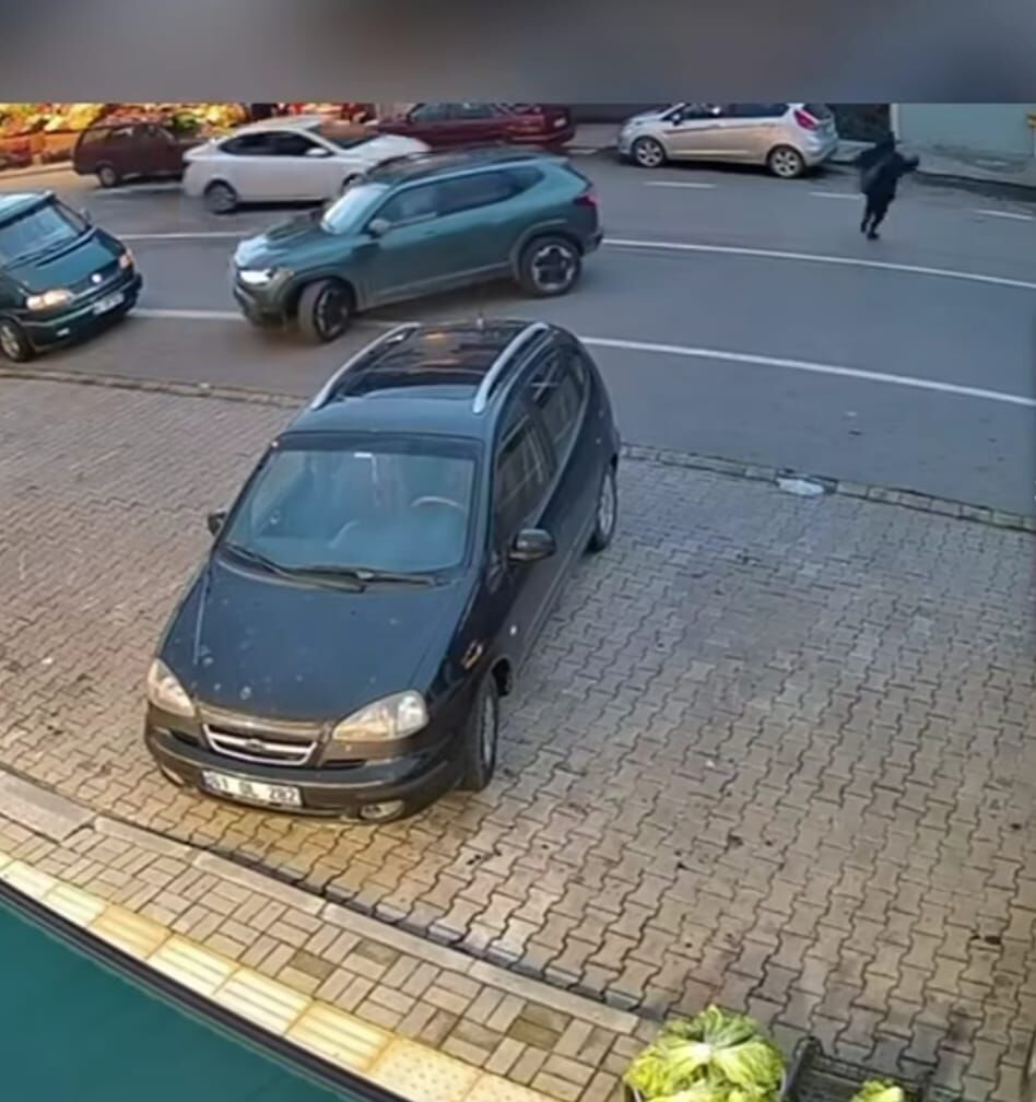 Whatsapp Image 2026 03 09 At 12.02.46