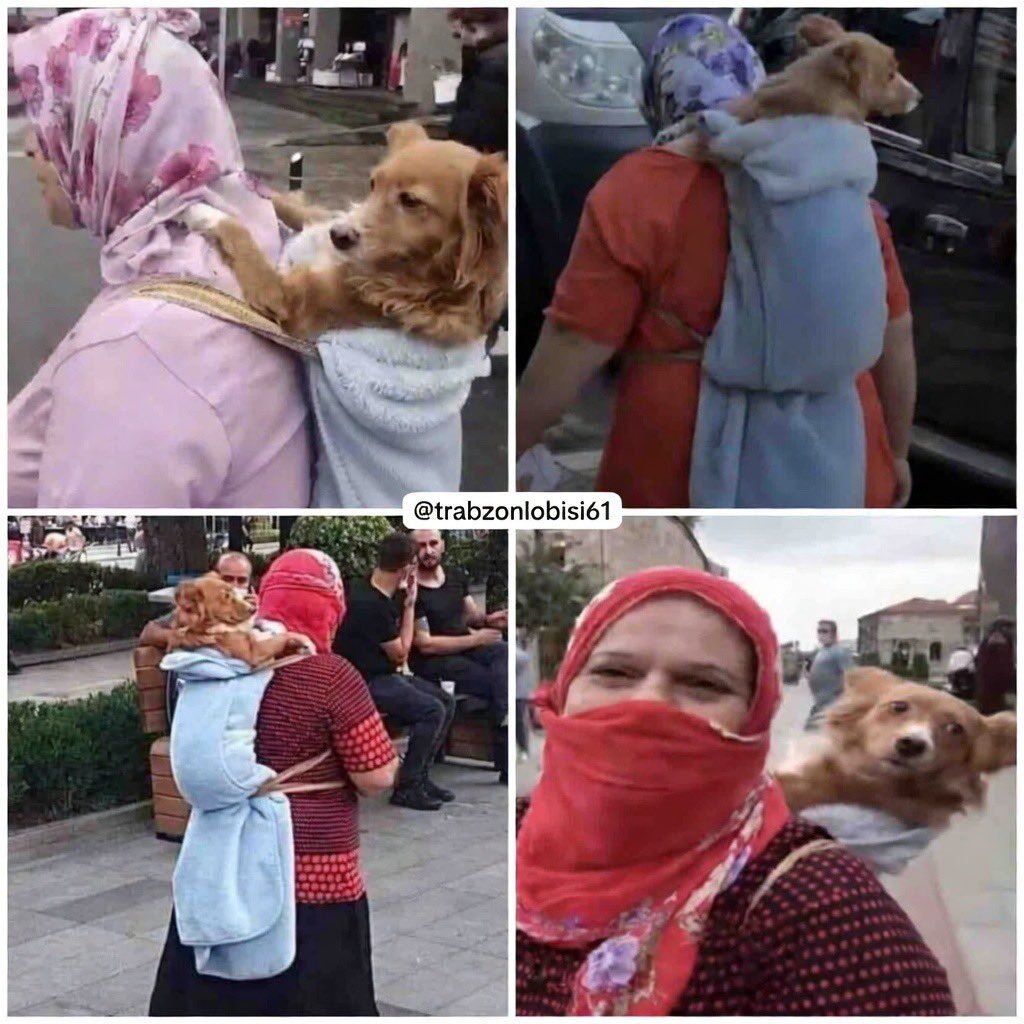 Whatsapp Image 2026 03 28 At 17.18.29