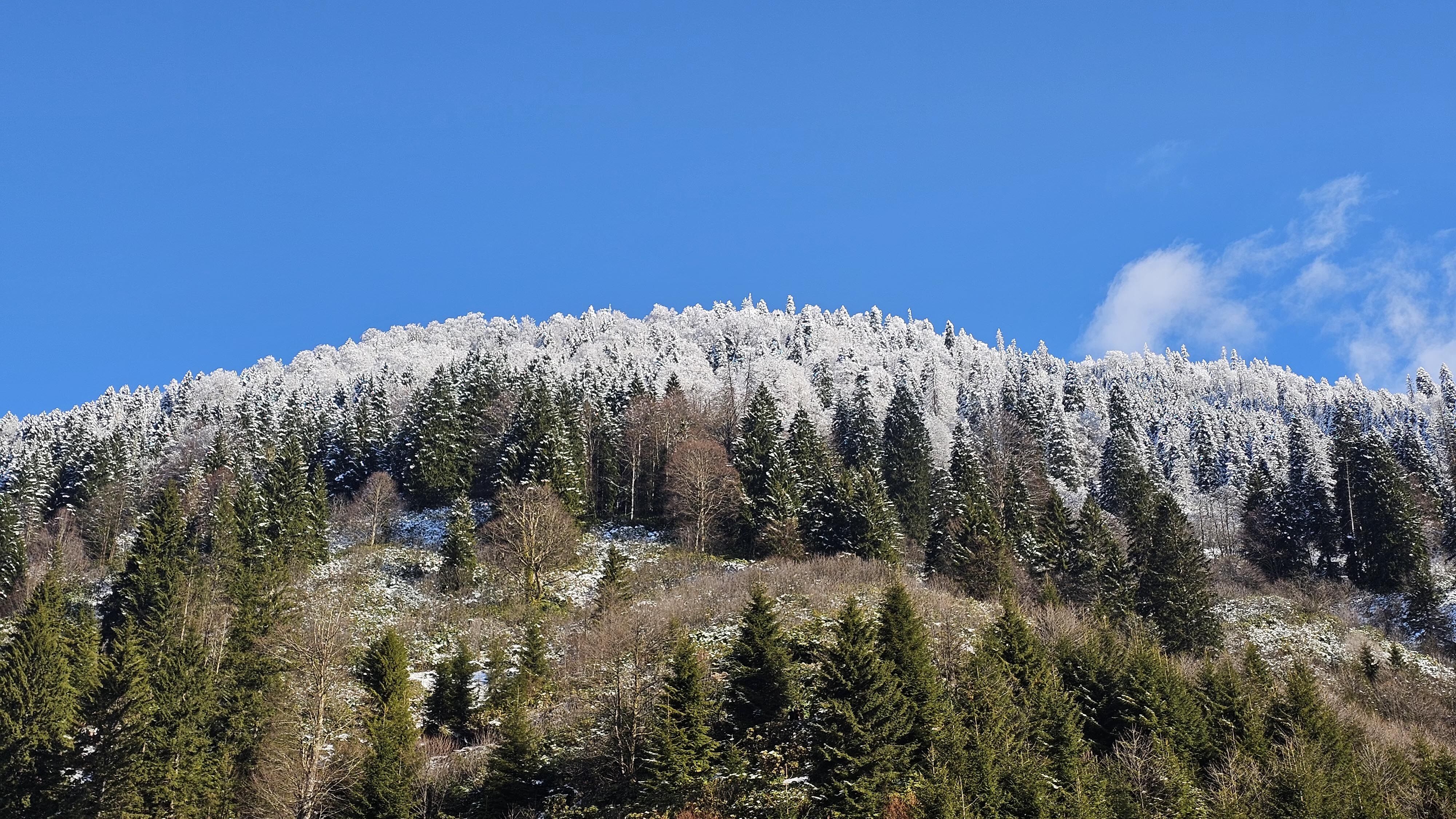 A A 20260425 41207034 41207033 R I Z E D E K A C K A R D A G L A R I B E Y A Z A B U R U N D U