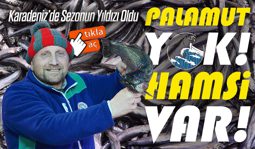 Palamut Yok Ama Hamsi Var: Karadeniz’de Bereketli Sezon