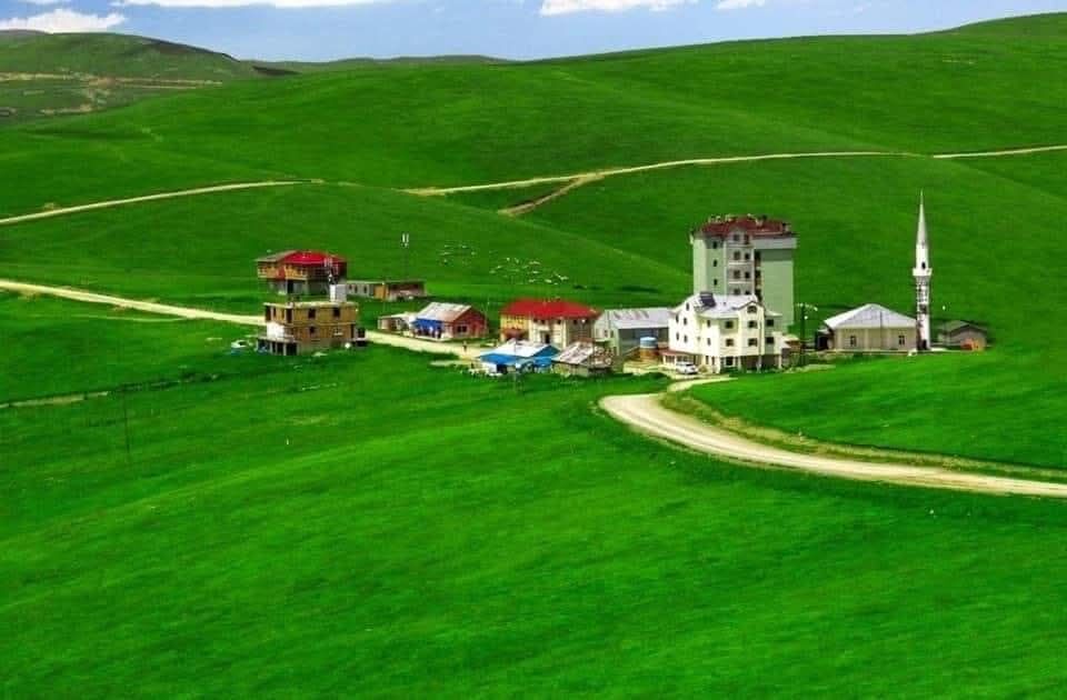 Hepsi̇ Gi̇rsi̇n Li̇mon (1)