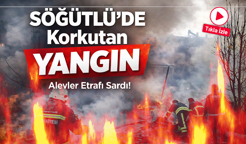 Söğütlü’de Korkutan Yangın: Alevler Bir Anda Etrafı Sardı!