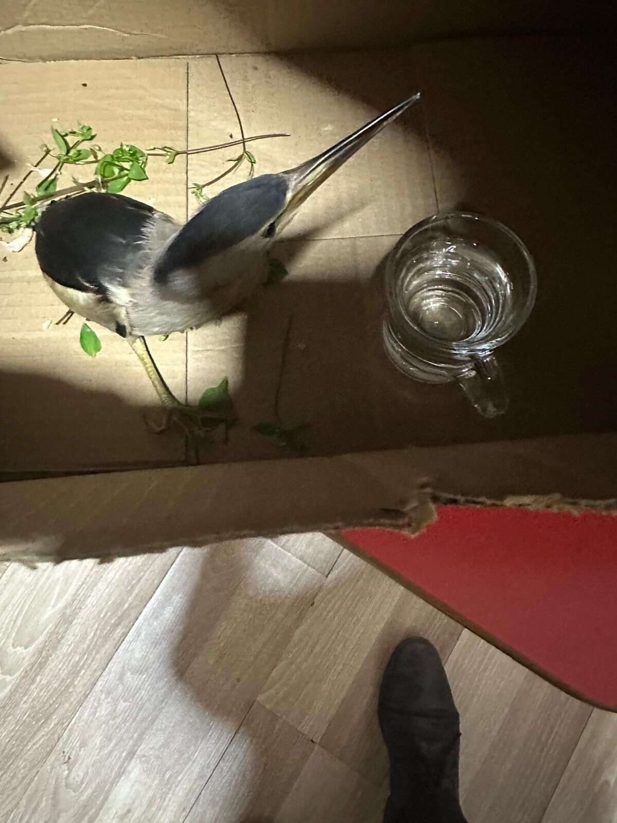 Whatsapp Image 2026 04 24 At 14.29.36 (1)