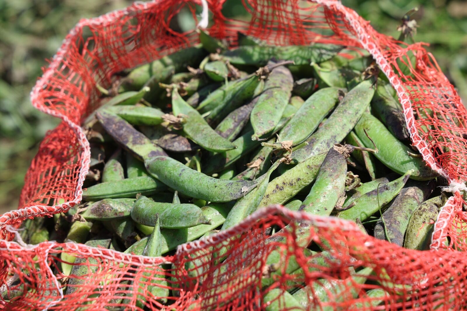 Whatsapp Image 2026 04 25 At 13.12.53 (2)