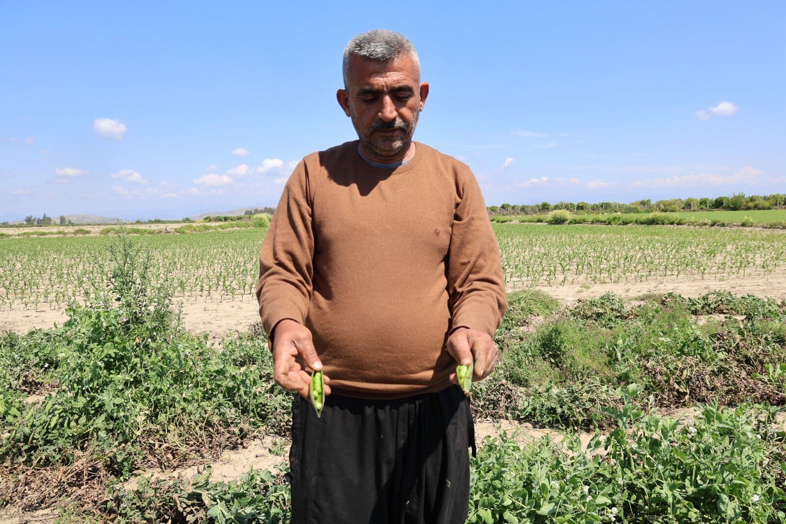 Whatsapp Image 2026 04 25 At 13.12.53 (3)