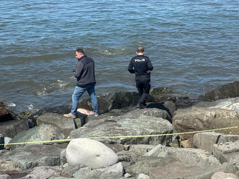 Whatsapp Image 2026 04 25 At 16.05.08 (1)