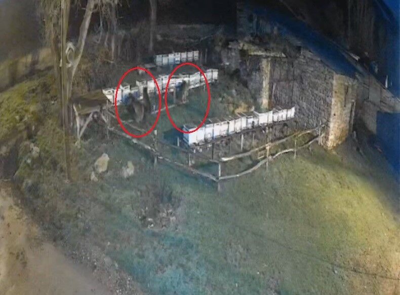 A W696818 01