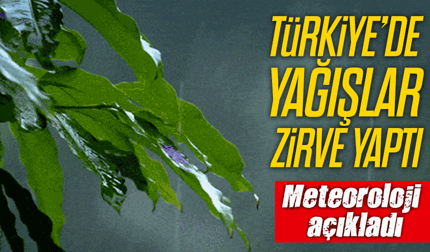 Meteoroloji açıkladı; Türkiye’de Yağışlar Zirve Yaptı