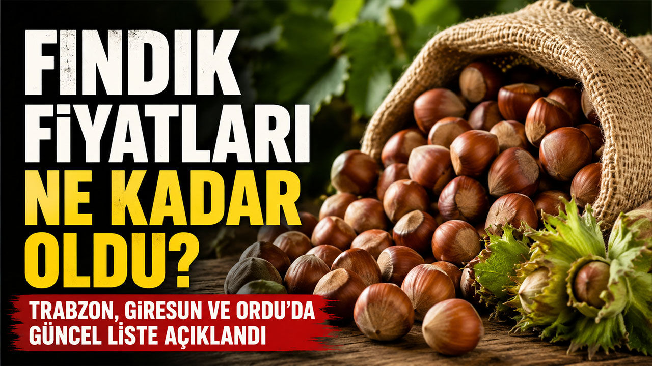Fındık fiyatlarında makas açıldı: TMO ile piyasa farkı 50 TL