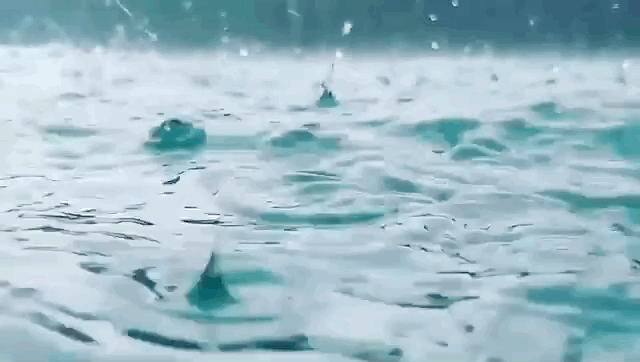 Meteorolojiden Doğu Karadeniz için şiddetli yağış 