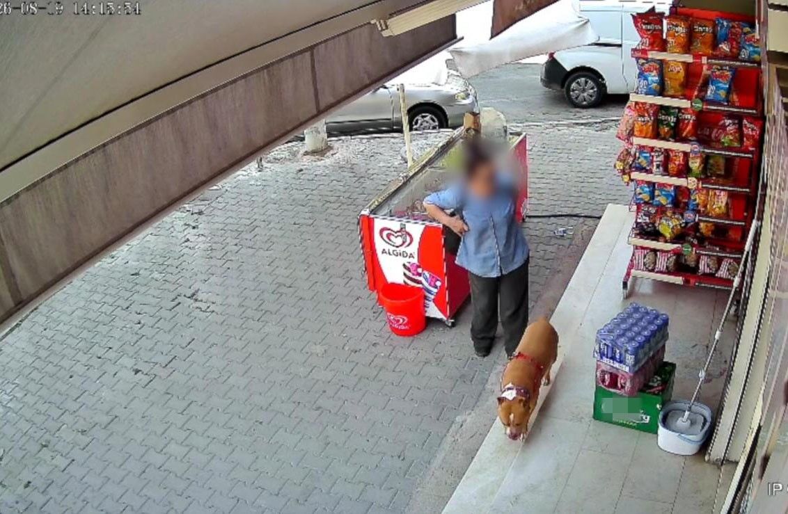 Yine Bir Pitbull Faciası: 5 çocuk annesi kadının parmağı koptu