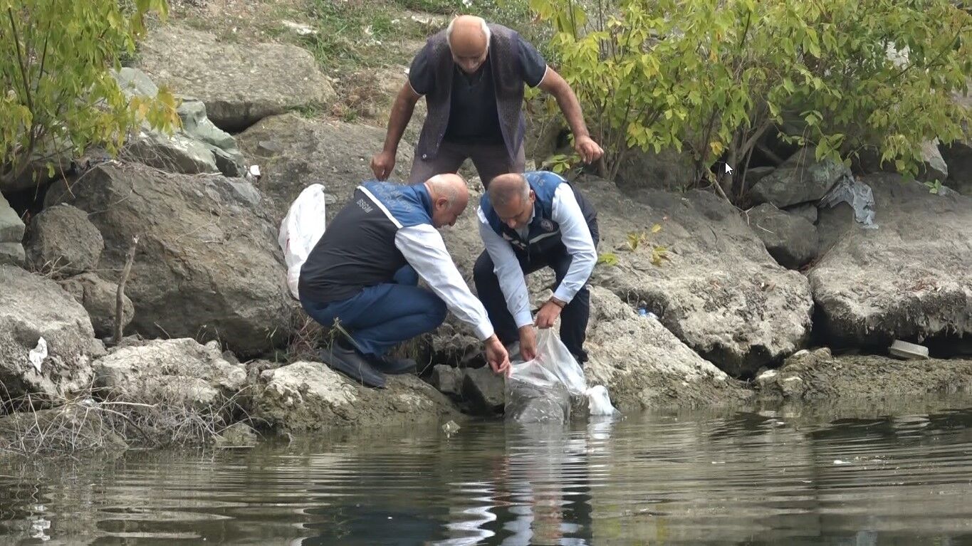 İç suları 1 milyon 125 bin sazan yavrusu ile balıklandırıldı