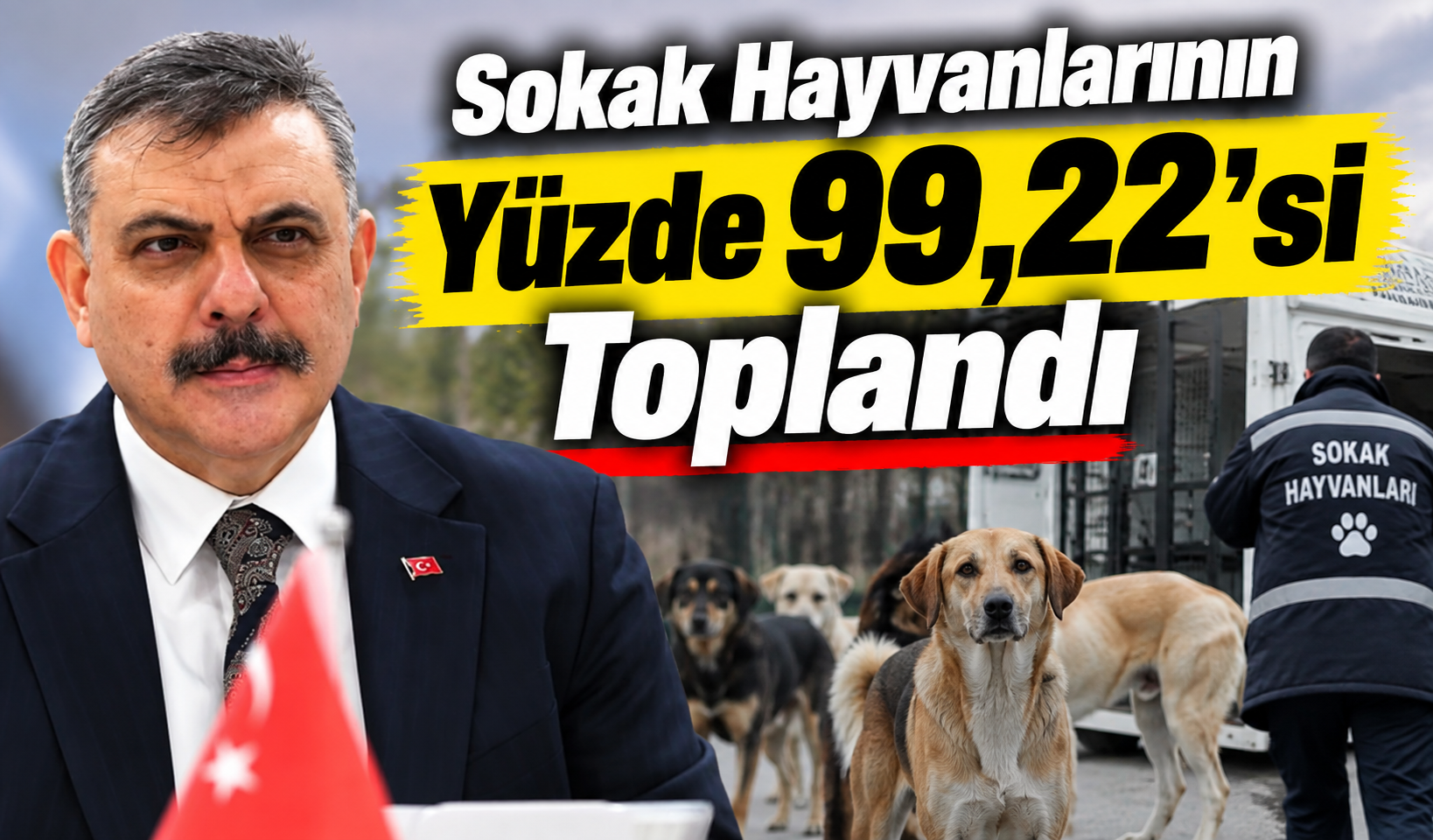 Bakan Çiftçi: Sokak hayvanlarının yüzde 99,22’si toplandı