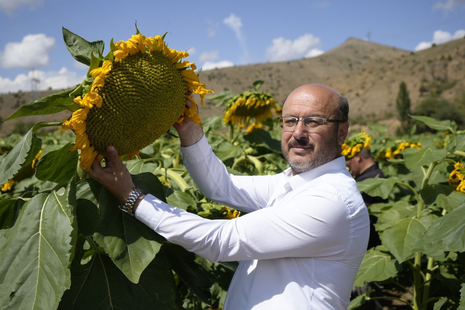 Whatsapp Image 2026 09 02 At 15.12.51