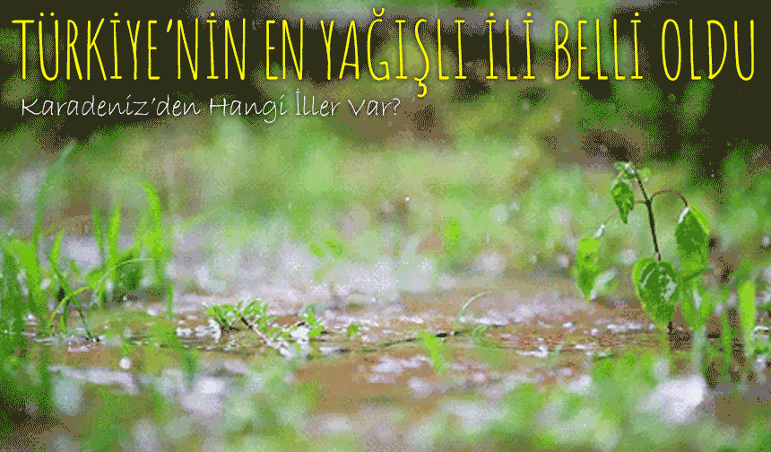 Türkiye’nin En Yağışlı İli Belli Oldu; Karadeniz’den Hangi İller Var?