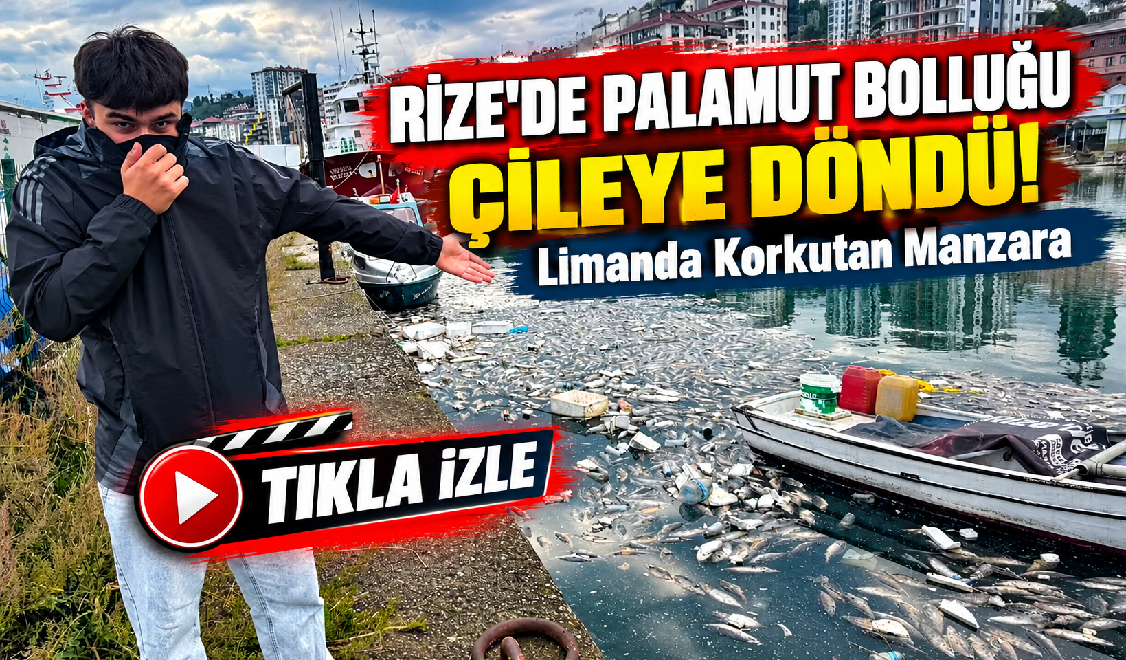 Rize'de Palamut Bolluğu Çileye Döndü! Limanda Korkutan Manzara
