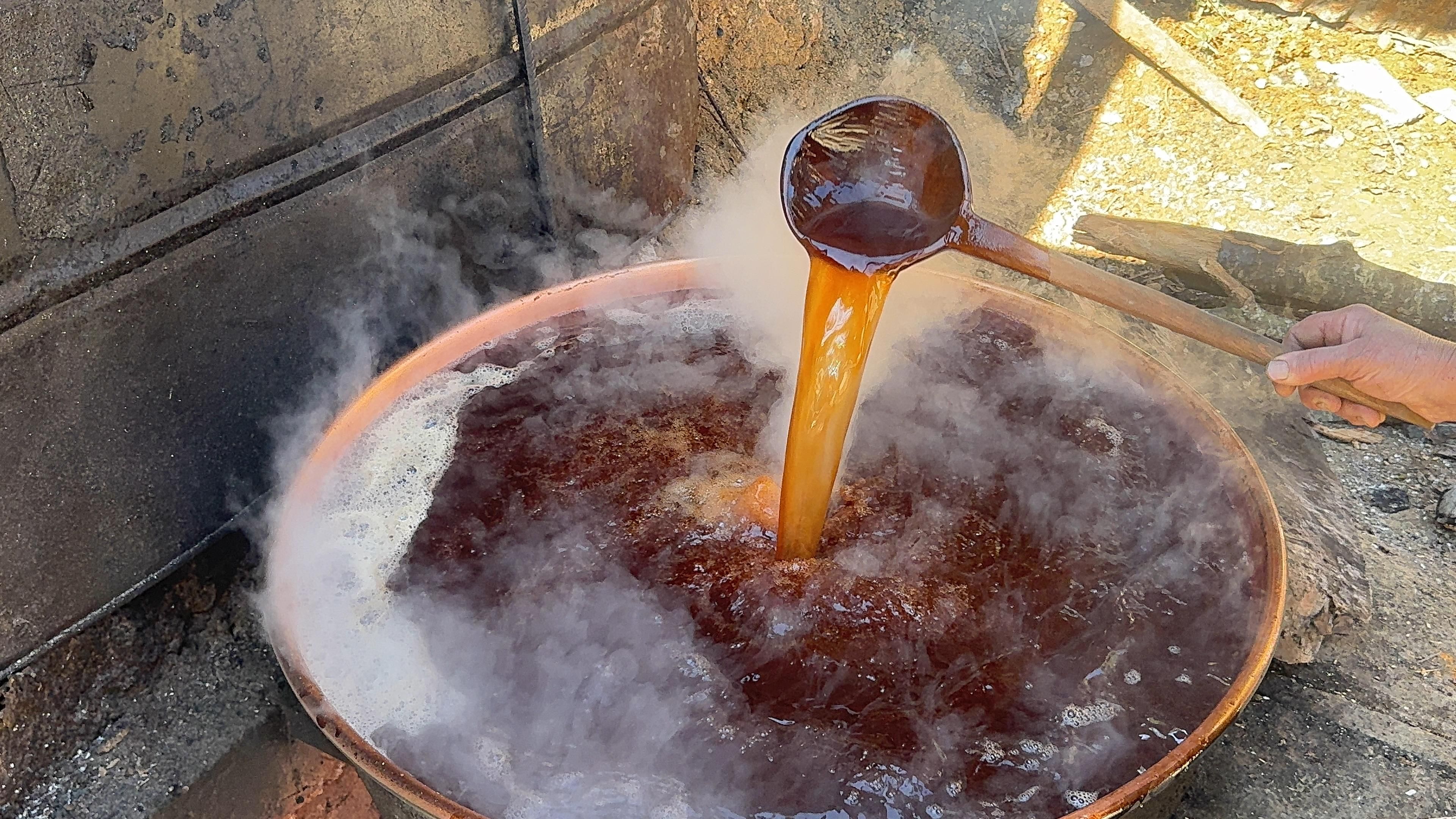 Giresun'da Pekmezden Büyük Kazanç! 5 Kilosu 7 Bin Lira