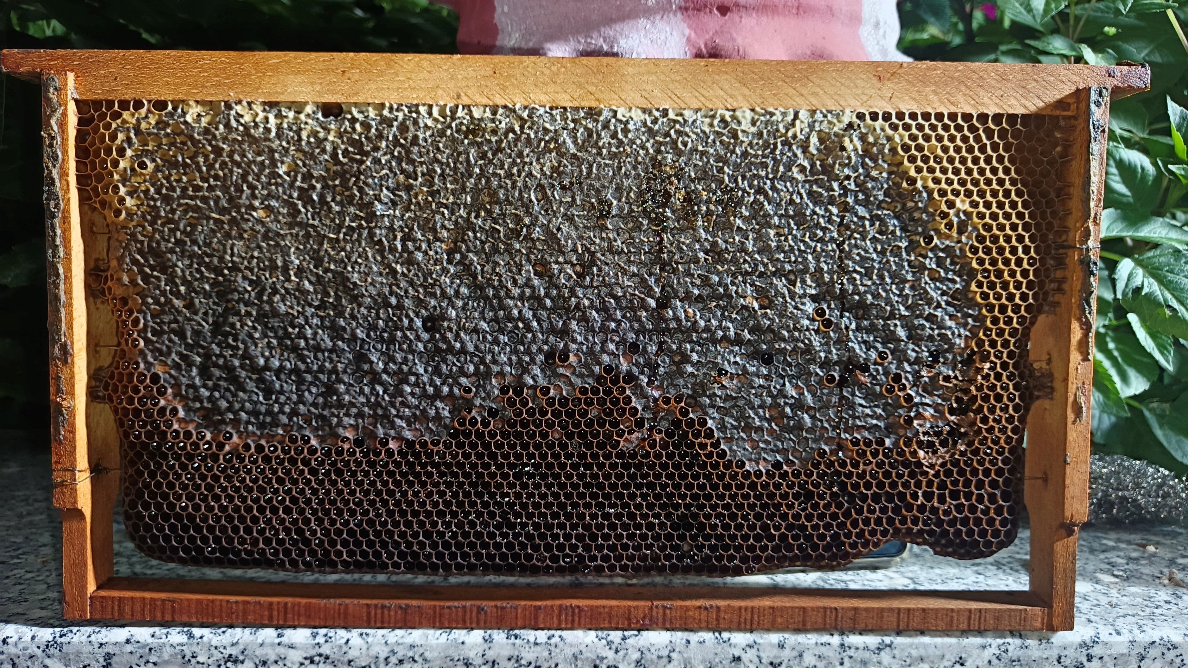 A W814909 05