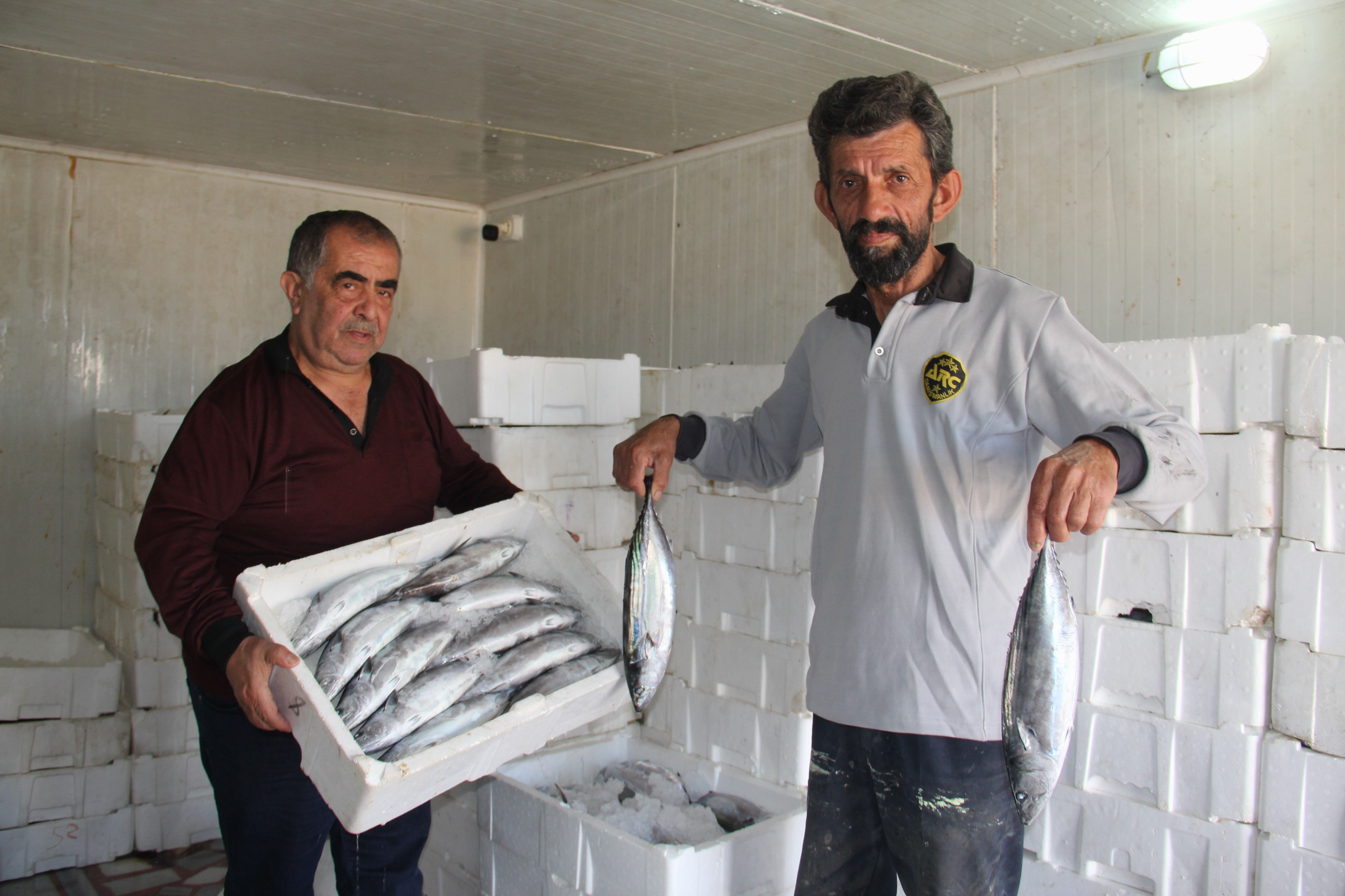 A W819626 03
