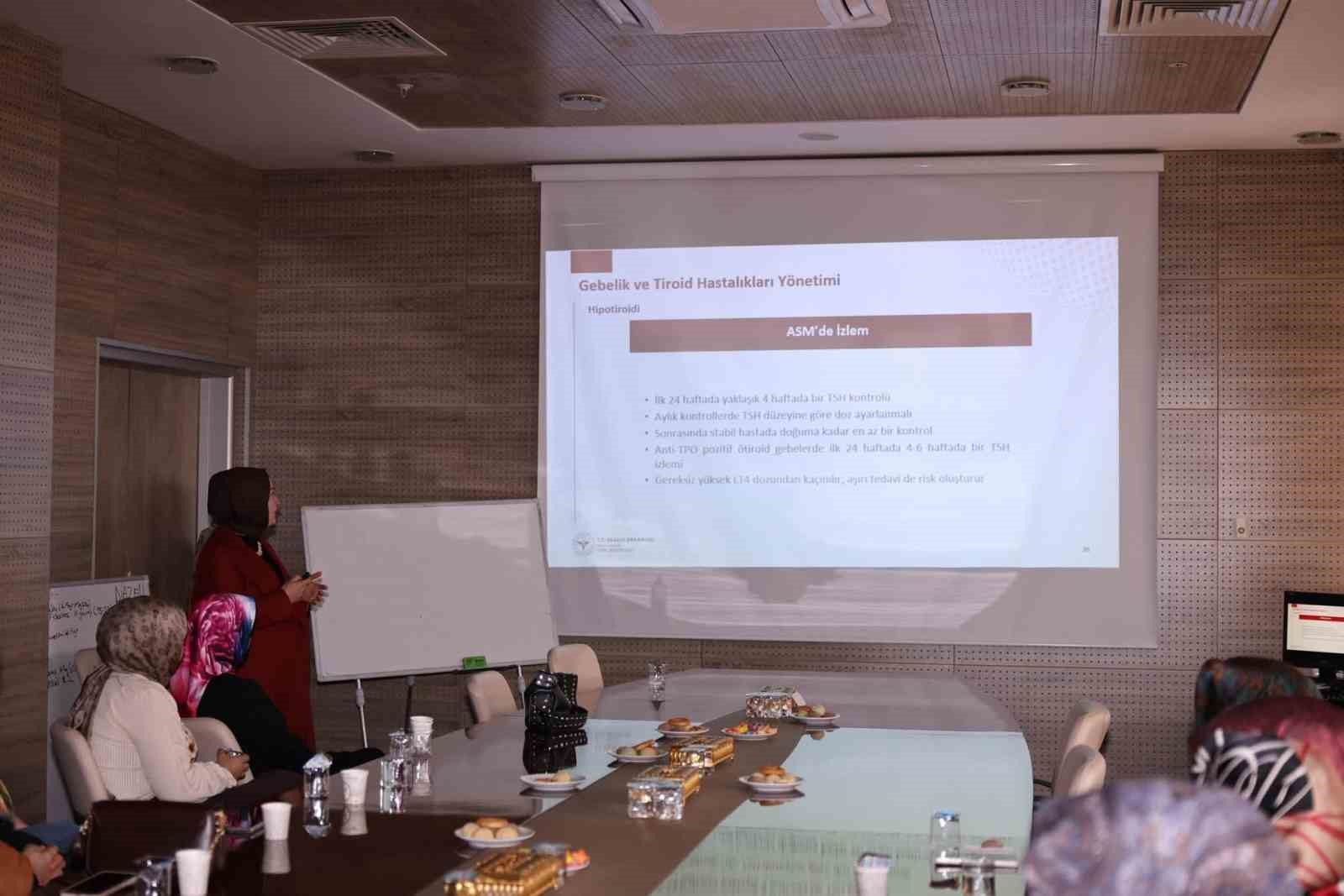 Bayburt'ta sağlık personeline gebelik ve anne sağlığı eğitimi