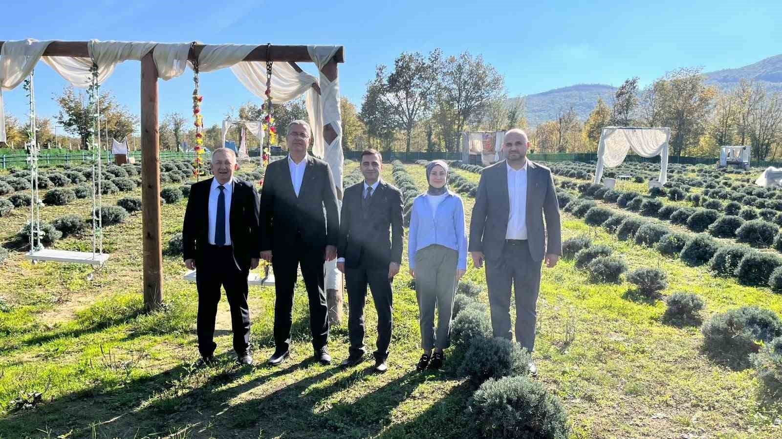 Samsun'da kadın üretici lavanta yetiştiriciliğiyle tarımsal çeşitliliğe katkı sağlıyor