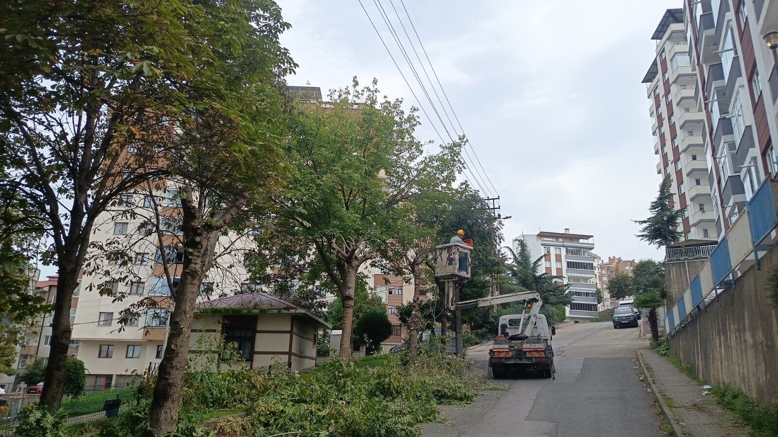 Whatsapp Image 2026 10 13 At 12.05.51 (2)